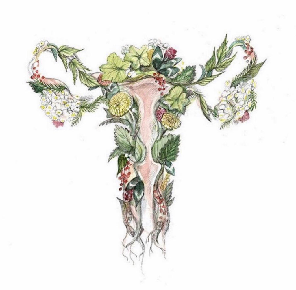 Ovulatory Phase Pt 1 & 2